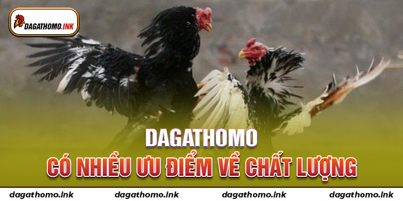 Dagathomo có nhiều ưu điểm về chất lượng