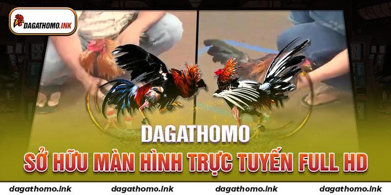 Dagathomo sở hữu màn hình trực tuyến Full HD
